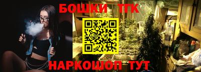 сатива Сланцы