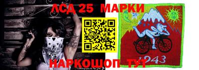 сатива Сланцы