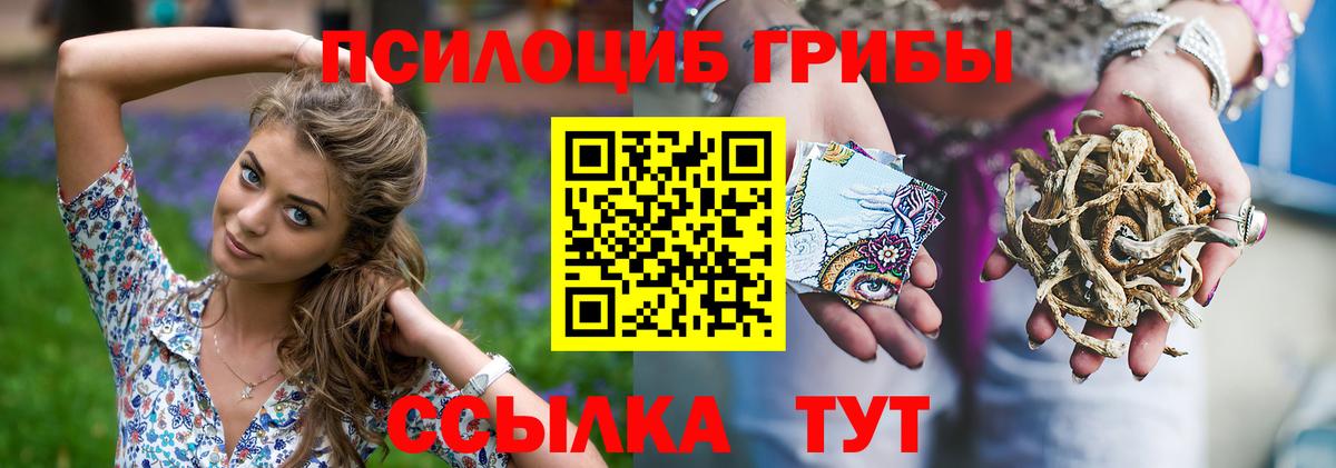 Волжск  Псилоцибиновые грибы Psilocybine cubensis  Вход с VPN 